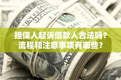 北京担保人起诉借款人合法吗？流程和注意事项有哪些？