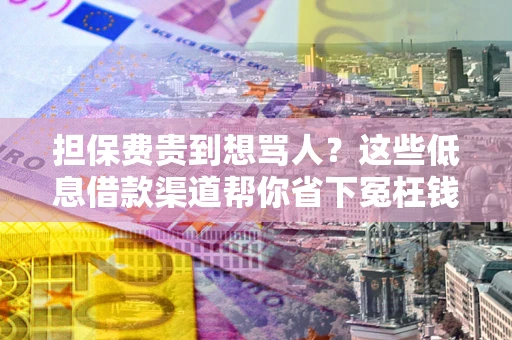 北京担保费贵到想骂人？这些低息借款渠道帮你省下冤枉钱