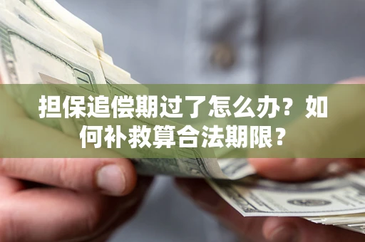 北京担保追偿期过了怎么办？如何补救算合法期限？