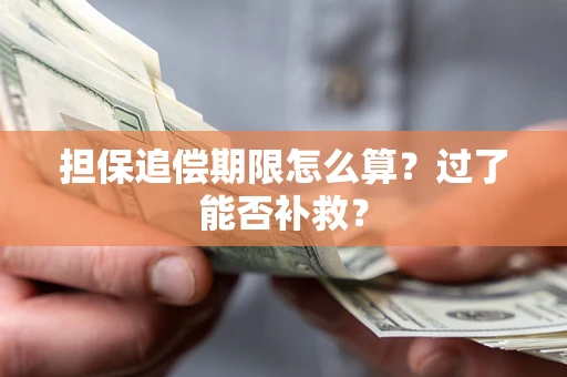 北京担保追偿期限怎么算？过了能否补救？